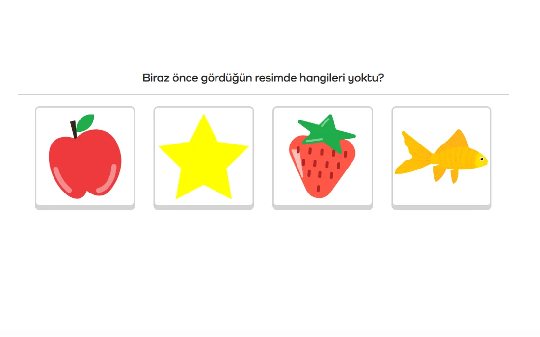 Bellek örneği 2