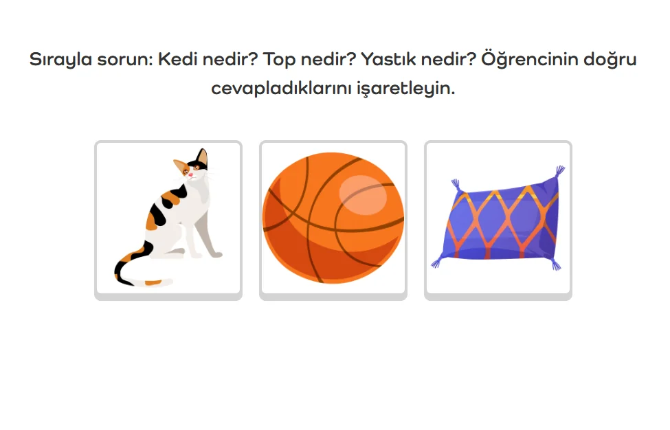 Dil Becerileri örneği 1